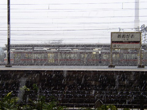 yIz_ 2004/12/31-1